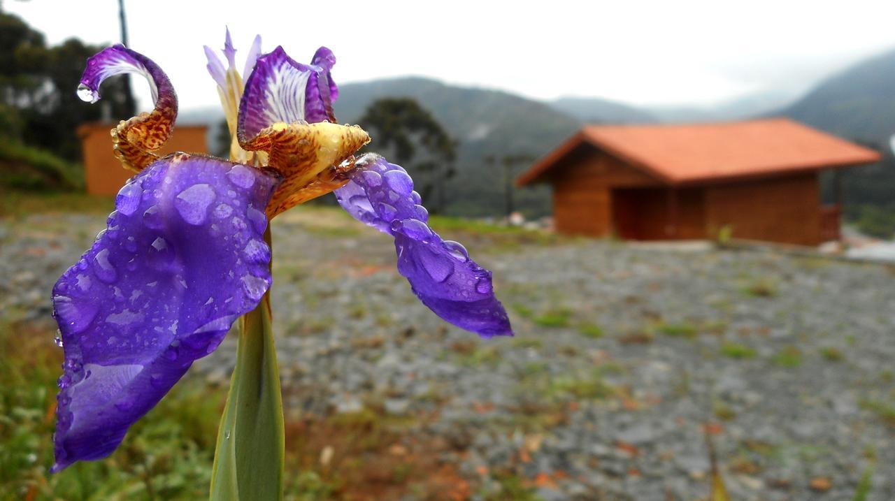Pousada Bela Vista Urubici Dış mekan fotoğraf